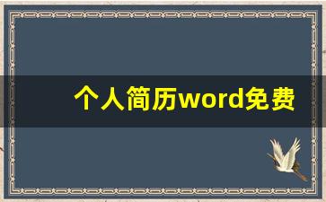 个人简历word免费版_大学生个人简历模板 免费